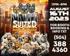 High End Fluffy Presents Suited & Booted